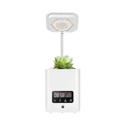 China USB Smart Humidifier Indoor Garden Plant Humidifier + Speaker + Direct Speaker Multifunctional Creative Ornamental Desktop Planter For Home Office for sale