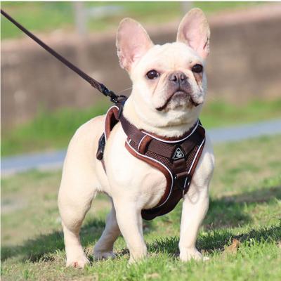 China Stored Type Pet Dropshipping Dog Vest Leash Trunk Tie Up Walking Cat And Dog Reflective Breathable Life Vest With Rope for sale