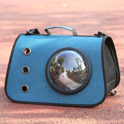 China 2021 New Fashion Cat Bag All Season Folding Transparent Portable Pet Capsule Stored Backpack Carrier Handbag for sale