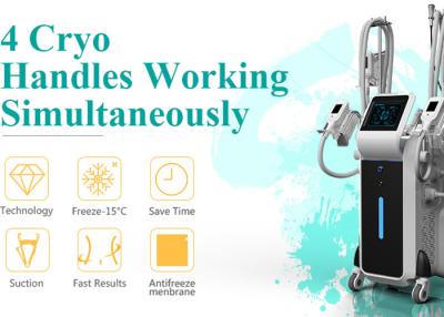 China Hot Germany Netherlands CE Approved clinic Cryolipolysis kryolipolyse body sculpting machine for sale