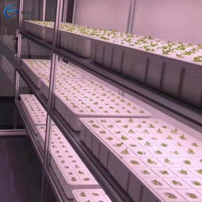 Китай Temperature Climate Control 40 ft Container Soilless Cultivation Greenhouse Smart Hydroponic Vertical Farming System продается