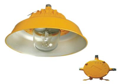 China Stationary Ex-proof Light 250W / 400W IP65 MH / HPS Street Lights for sale