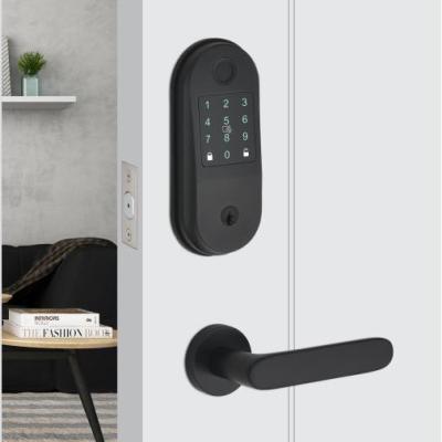 China Desktop Fingerprint Locks Electronic Smart Lock App Finger Touch Screen Biometric Door Handle Smart Reader Door Lock for sale