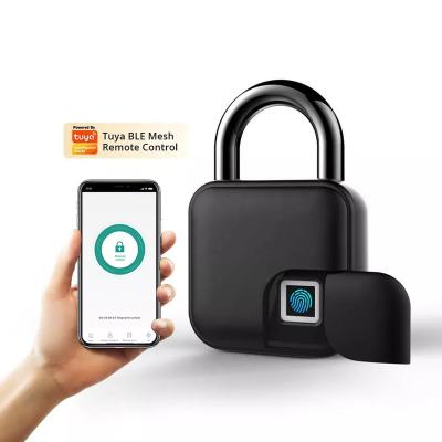 China BBDHOME Anti-Smart Bag Waterproof Fingerprint Padlock Gym TTlock for sale