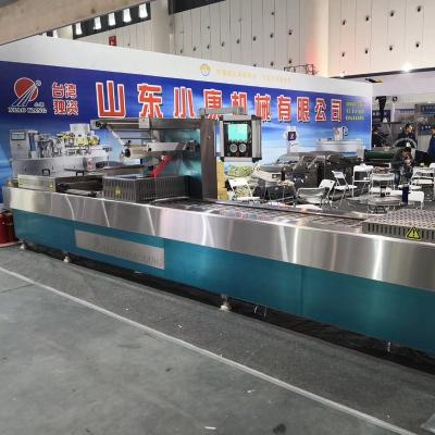 China Beverage Tilapia Fish Band Vacuum Packing Machine Food Industry Malaysia Indonesia Vietnam Food Industry Vacuum And Packing Machine Food Seal Pump for sale