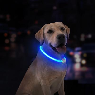 China New Design USB Rechargeable Waterproof Led Dog Collar Durable Lights Up Flashing Glowing Led Dog Collar for sale