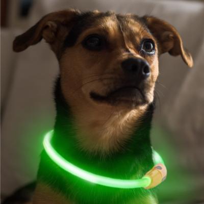 China Lights Good Quality Usb Led Dog Pet Light Up Safety Collar Night Glow Rechargeable Waterproof Collars For Dog for sale