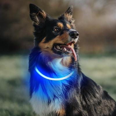 China Lights good quality good price waterproof rechargeable multiple luminescence patterns dog collar with led for sale