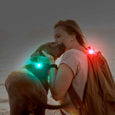 China Laroo LED Lights Silicone Replaceable Waterproof Safety Dog Collar Flashing Dangling Detachable Leashes for sale