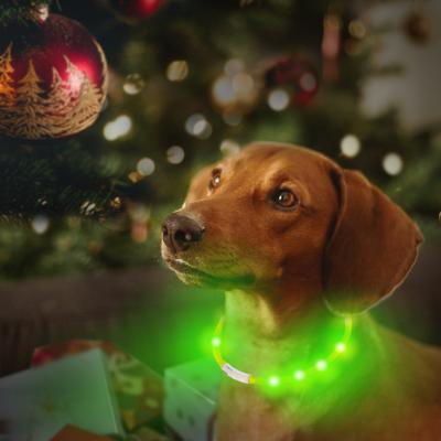 China Stocked Laroo Pet Products 2022 Hits Dog Color Led Lightweight Rechargeable Dog Collar Led Multicolor for sale