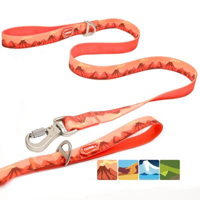 China Laroo PVC Stocked One Dog Leash For Pet Lead Leash Strong Heavy Duty Dog Rope Waterproof Pet Leashes for sale