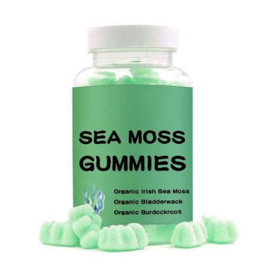 China Increase Immunity & Wholesale Energy Private Label Improve Irish Sea Moss Gummies With Bladderwrack Burdockroot Skin Energy Immune Organic Vegan Vitamin for sale