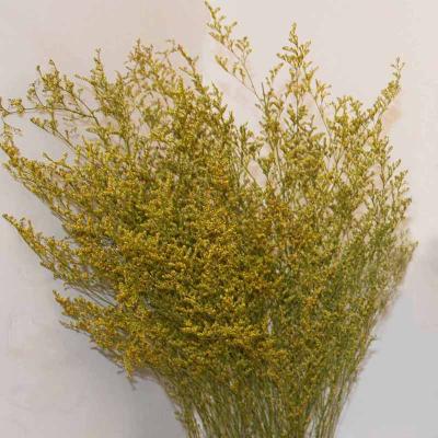 China Decorative Flower and Garlands Wholesale Decoration Festival Gifts Preserved Flower Limonium for sale