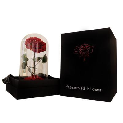 China Rose Forever preserved durable preserved 7-8 cm the little prince Stabilized Eternal Roses in glass dome for valentines day gifts for sale