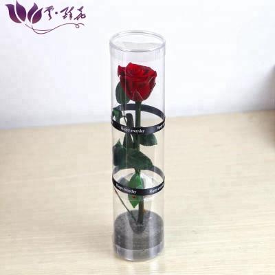 China Wedding& Home decoration/celebration/party wholesale natural fast delivery/gifts beautiful and everlasting rose flower for sale