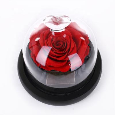 China Yunnan ZuiHua Lovers Stabilized Rose Flower Forever Roses Preserved in Glass Gift for Girlfriend for sale