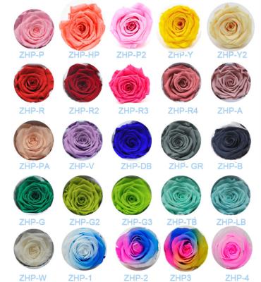 China Wedding& Wholesale Home Decoration / Celebration / Party / Gifts Preserved Flower Rose for sale