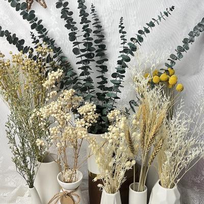 China Amazon Supplier Natural Touch Flower Bouquet Custom Bunny Tails Dry Limonium For Bouquet Decor for sale