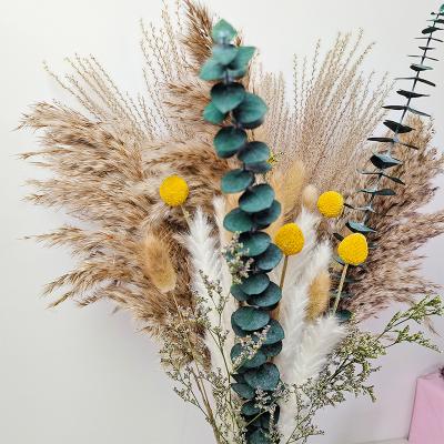 China 40pcs Bunny Tail Eucalyptus Reeds Natural Rabbit Touch Customized Pampas Grass For Decor Bouquet for sale