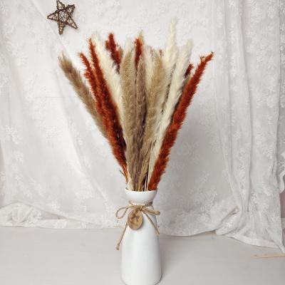 China Natural Touch Wholesale Dried Flowers 45 Pcs Pampass Mixed Grass Dried Flower Combination Bouquet for sale