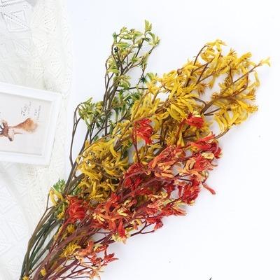 China High Quality Preserved Long Lasting Flowers Real Nature Plant Flowers Preserved Anigozanthos For Home Decor for sale