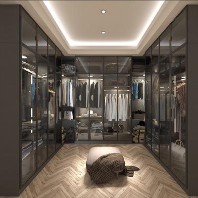 China (Other)Customized Adjustable Modern Luxury Wood Glass Metal Wardrobe Wardrobe and Other Specialized Custom Joinery Cabinets for sale