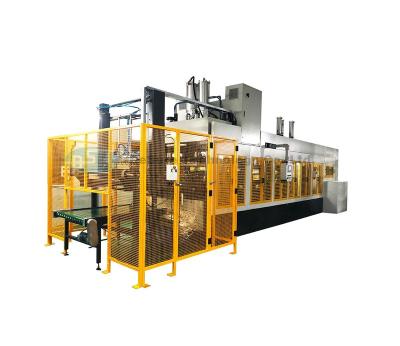 China TW6000 BST Environmentally friendly and degradable production plate tableware molding pulp molding line for sale