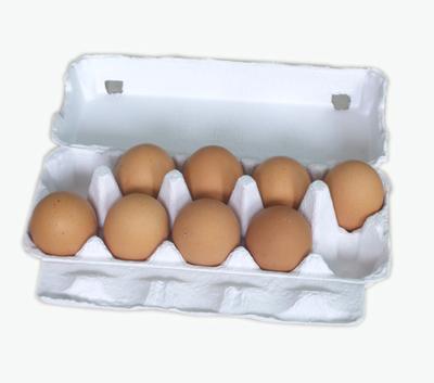 China For the production of egg carton which contain 6 BSI EC3600 waste paper recycled molded paper/egg pulp egg carton carton production line for sale