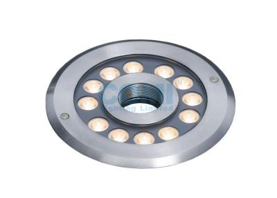 China B4TA1257 B4TA1218 12 * 2 W Modern Design LED Fountain Ring Light , LED Waterproof Lights For Fountain for sale