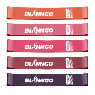 China Durable Elastic Band Gym Customized Logo Fitness Band Set 5 Home Gym Yoga Booty Resistance Bands Equipment Exercise Bands Loop for sale