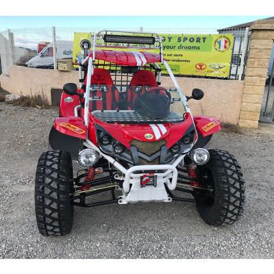 China Renli EEC4 racing cheap two seats adult go karts offroad 4x4 1100cc 27x8-14/27x11-14 sand buggy for sale