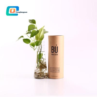 China Biodegradable Custom Tube Wrapping Printed Round Kraft Paper Tube Cardboard Paper Box Container For Water Bottle for sale