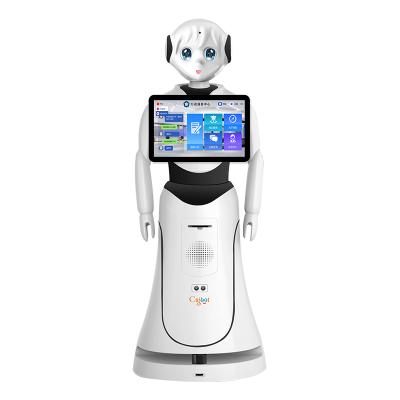 China Human hotels robot like walking robot in hotel, supermarket, airport, receptionist for sale