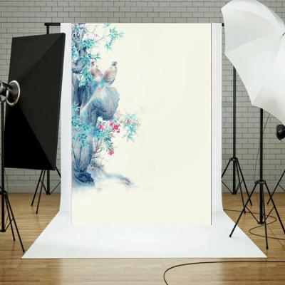 China Factory direct sales photo photography background seamless photographic painting background for sale