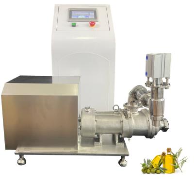 China High Efficiency High Purity Stainless Steel Olive Oil Filling Machine Olive Oil Rotor Pump Olive Oil Transfer Pump for sale