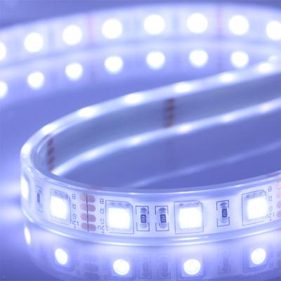 China High Quality Theme Park+LANDSCAPE Silicone Safety 5050 Wick Playground Decoration Led Strip Interior Light Highlight for sale