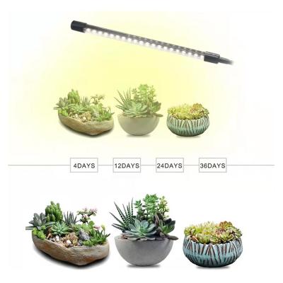 China Seed Starting Smart Control Chip Planting Flowers Usb Charging Dimmable Led Grow Light Full Spectrum Indoor Plant for sale