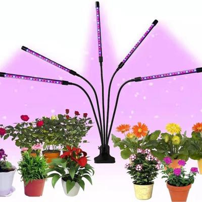 China Seed Starting 2 Years Warranty Dimmable PVC Timing Aluminum Grow Light Full Spectrum Indoor Plant for sale