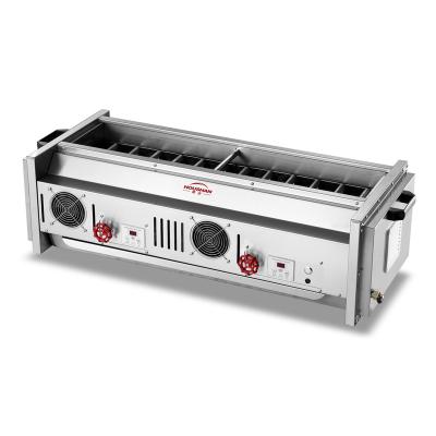 China Easily Assembled A8 2 Controls Gas BBQ Grill Rotisserie Commercial Use Stainless Steel Natural Gas or LPG for sale