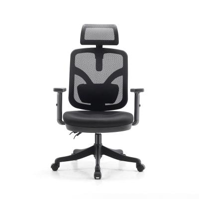 China Size Adjustable Functional Back Support SIHOO Mesh Office Chair (Height) for Boss and Staff for sale