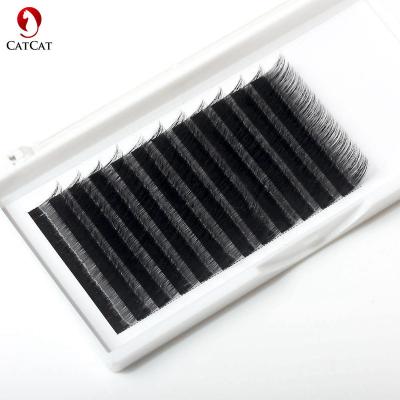 China Soft Flexible Cat Eyelash Extension Eyelashes Fasles Silk Soft Handmade Lashes With Personal Case Label Grafting Other Eyelashes Cheap for sale