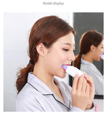 China Cheap Home Whitening Electric Automatic Toothbrush for sale