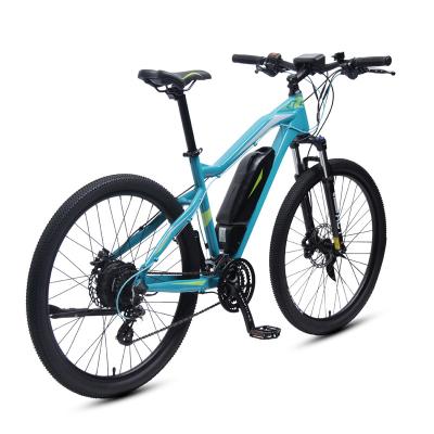 China Aluminum Alloy 24-Speed ​​High Power Adult 36V 250W Mountain Bike Electric Bike With 36V/10.4Ah Lithium Battery for sale