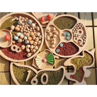 China Beech Wood Montessori Wooden Toys Beech Round Sensory Sorting Trays Flower Acorn Shell Pumpkin Shapes For Kids Open Play for sale