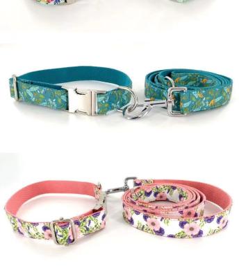 China New Padded Amazon Dog Print Patch Collar Leash Enrollment Set for sale