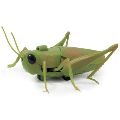 China NEW ! Grasshopper Model Toys Plastic Simulated Rc Remote Control Infrared Flying Insects for sale