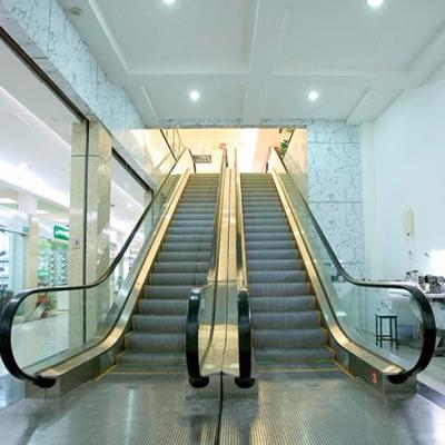 China Hotel fashion and various design supermarket&residential escalators for sale