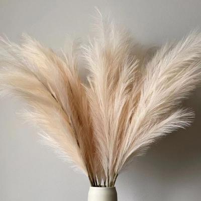 China Convieniently 18 Fluffy Pampas Artificial Pampas Grass Beige Color Artificial Pampas Forks For Home Wedding Decoration for sale