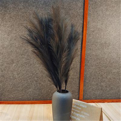 China Convieniently Fluffy Pampas Grass Reed Bunch Long Stem Pampas Home Holiday Wedding Decor for sale