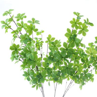 China Convieniently wholesale Enkianthus perulatus perulatus greenery leaf floristry design in artificial arch backdrop wedding flower arrangement branch for sale